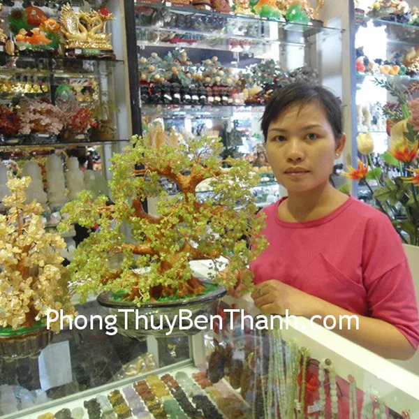 Chị Thúy Anh - khách hàng mua Cây Cẩm Lãm CA241 và cây thạch anh vàng CA119