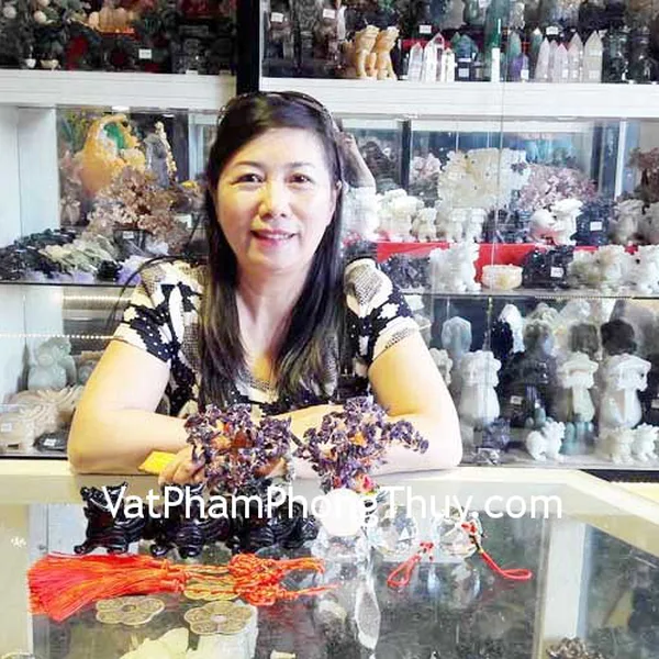 Cô Ngọc - khách hàng mua Tỳ hưu thạch anh đen GM009, Quả cầu pha lê treo S6282, Cây đá thạch anh tím KC058, Quả cầu thạch anh hồng M181-S4-408, Xâu tiền 3 xu CC1137, tiền hoa mai liền CC1139