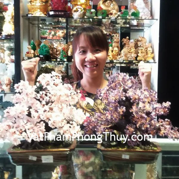 Chị Vi - Khách hàng mua cây tài lộc pháo hoa nhiều màu KC069