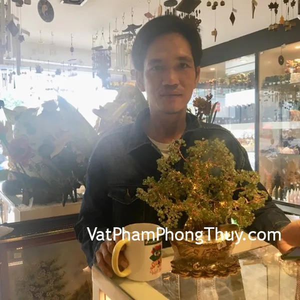 Anh Tuấn - khách hàng mua cây tài lộc đá cẩm lãm  KC075
