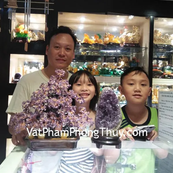 Anh Dũng-khách hàng mua Cây thạch anh tím lớn hạt nhỏ dáng thịnh vượng trên chậu có núi đá KC110 và Bông thạch anh tím H097-8505