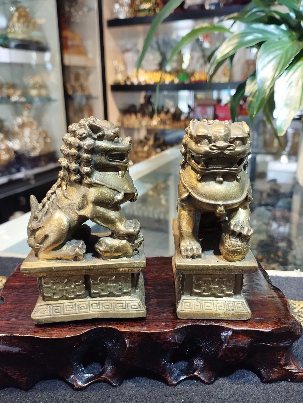 Sư tử đồng trung D217