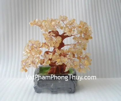 Cây thạch anh lục sắc thân bonsai chậu kiểu nhật mới (Phước) KC117