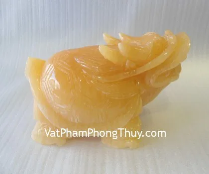 Rùa đầu rồng nhỏ cõng con D307