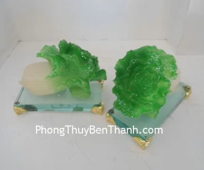 Bắp cải Phỉ thuý đặc biệt ( lớn) NS143
