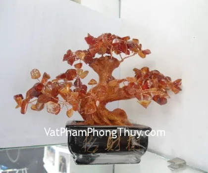 Cây đá mã não đỏ, chậu vuông nhỏ CA216