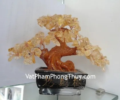 Cây đá thạch anh vàng, chậu vuông nhỏ CA212