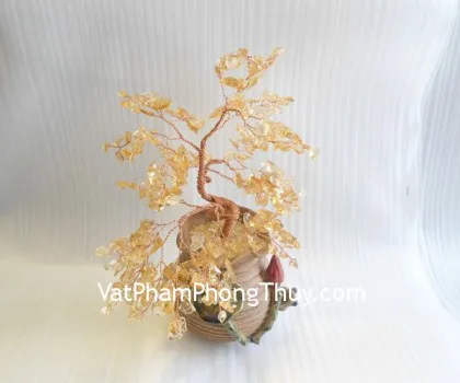Cây thạch anh vàng chậu kiểu mới CA244