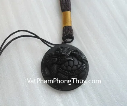 Rùa đầu rồng nhỏ cõng con FD307