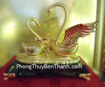 Chim thiên nga bách niên bảo hợp vàng,đế thủy tinh Y288