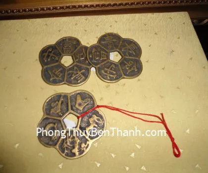 Tiền hoa mai liền(trường thọ phú quý) FCC1139