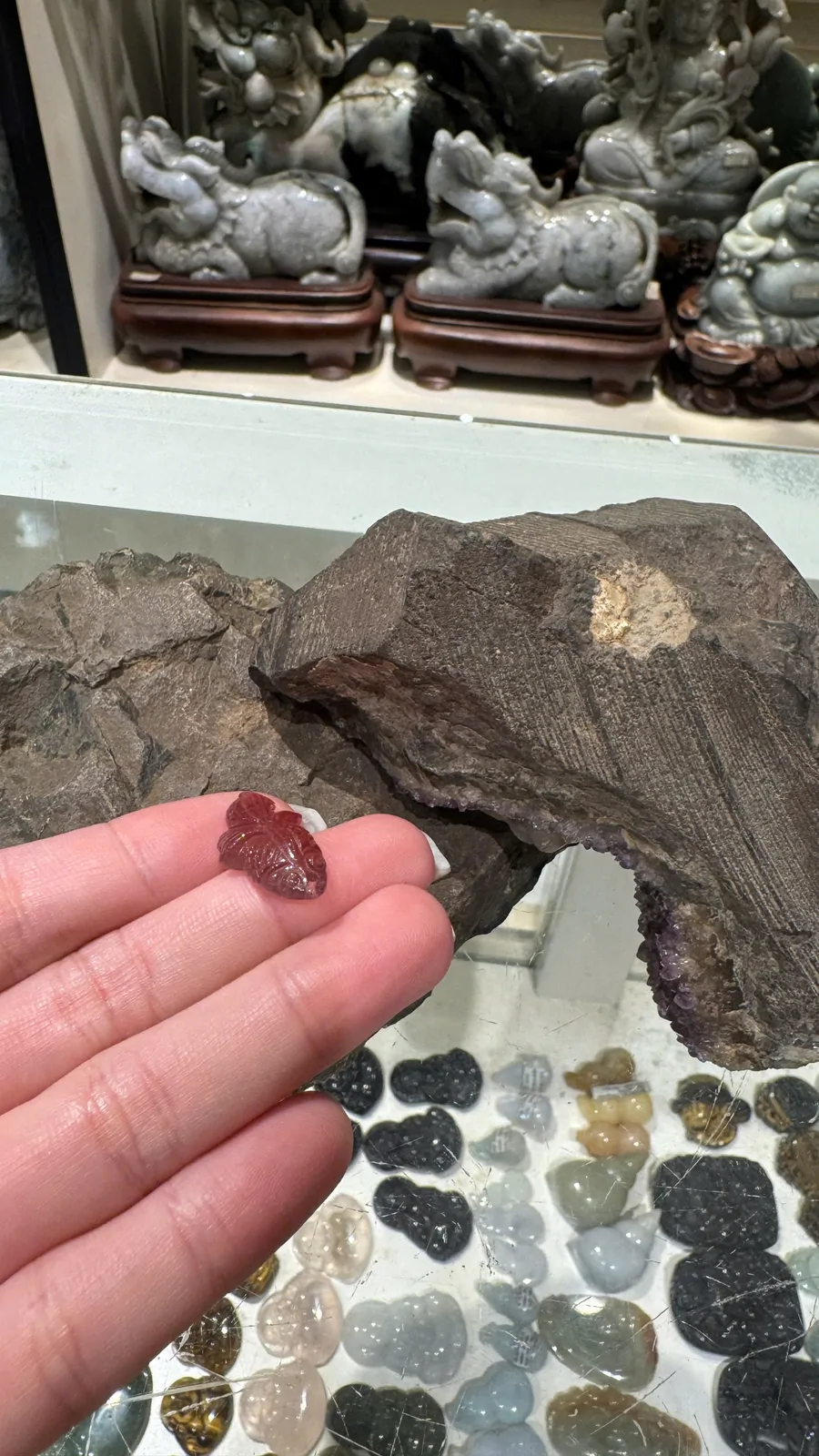 Cá chép Ruby Tourmaline GCN 5699 S6730-S1-5891