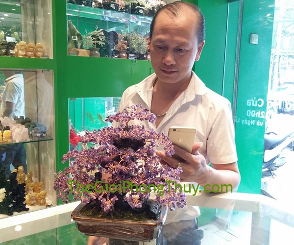 Anh Nhàn-Khách hàng mua Cây tài lộc kiểu mới pháo hoa thạch anh tím FKC070.