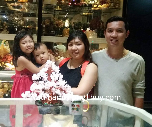 Anh Luân - khách hàng mua Cây tài lộc thạch anh hồng KC056